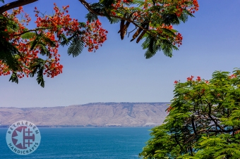 Sea of Galilee